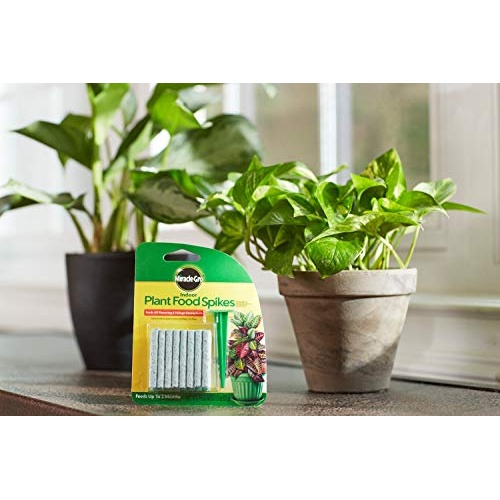 Miracle-Gro Indoor Plant Food Spikes, Includes 24 Spikes - Continuous Feeding for all Flowering and Foliage Houseplants - NPK 6-12-6 - Image 7