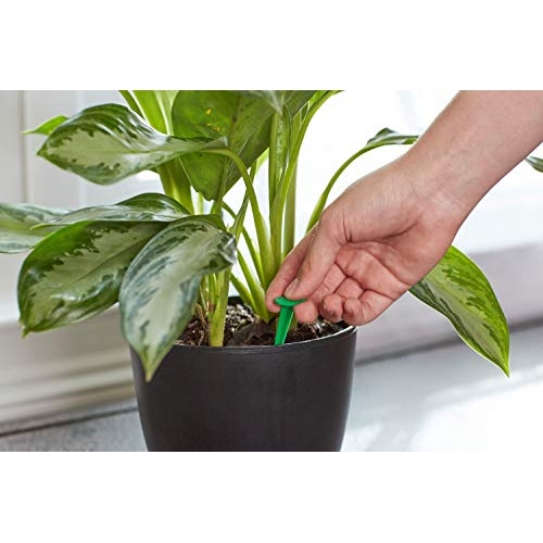 Miracle-Gro Indoor Plant Food Spikes, Includes 24 Spikes - Continuous Feeding for all Flowering and Foliage Houseplants - NPK 6-12-6 - Image 5