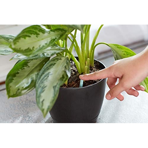 Miracle-Gro Indoor Plant Food Spikes, Includes 24 Spikes - Continuous Feeding for all Flowering and Foliage Houseplants - NPK 6-12-6 - Image 4
