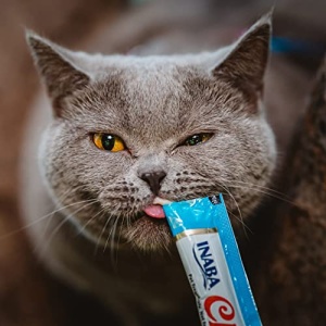 INABA Churu Cat Treats, Grain-Free, Lickable, Squeezable Creamy Pur?e Cat Treat/Topper with Vitamin E & Taurine, 0.5 Ounces Each Tube, 50 Tubes, Tuna & Chicken Variety - Image 2