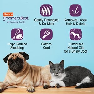 HARTZ, Groomer's Best Small Slicker Brush for Cats and Small Dogs, Black/Violet, 1 Count - Image 3