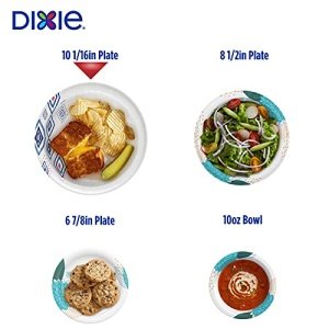 Dixie 10 Inch Paper Plates, Dinner Size Printed Disposable Plate, 204 Count (3 Packs of 68 Plates) - Image 5