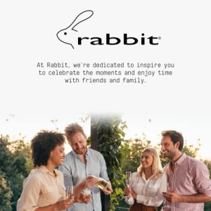Rabbit Bottle Stoppers, Set of 4, Multicolor - Image 2